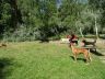 DSC00695.jpg