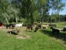 DSC00709.jpg