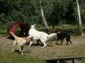 DSC00710.jpg