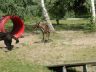 DSC00716.jpg