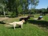 DSC00729.jpg
