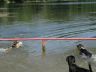 DSC00748.jpg