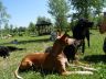 DSC00786.jpg