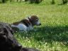 DSC00788.jpg