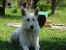 DSC00789.jpg