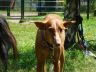 DSC00790.jpg