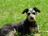 DSC00791.jpg