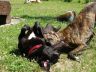 DSC00793.jpg
