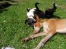 DSC00809.jpg
