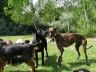 DSC00837.jpg