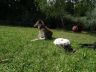 DSC00847.jpg