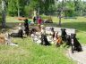 DSC00882y.jpg
