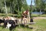 IMG_7722.jpg